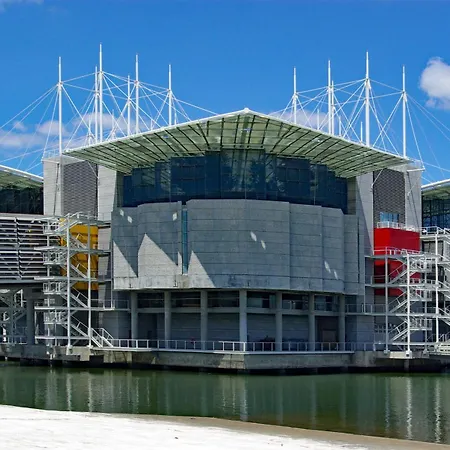 Daire Go Native - Vip 60